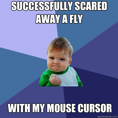 successfully scared away a fly with my mouse cursor - successfully scared away a fly with my mouse cursor  Success Baby