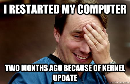 I Restarted my computer two months ago because of kernel update  Linux user problems