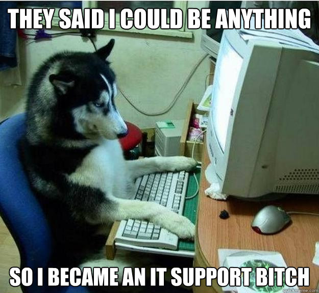 they said i could be anything so i became an it support bitch  