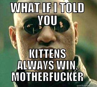 WHAT IF I TOLD YOU KITTENS ALWAYS WIN, MOTHERFUCKER Matrix Morpheus