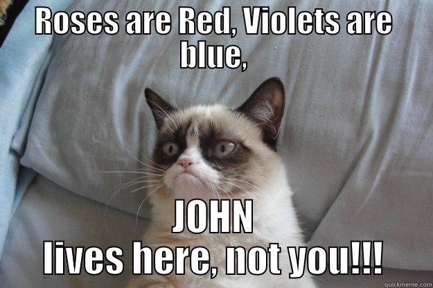 ROSES ARE RED, VIOLETS ARE BLUE, JOHN LIVES HERE, NOT YOU!!! Grumpy Cat