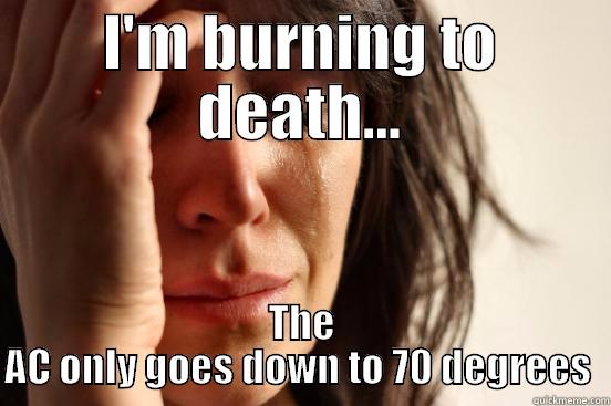 I'M BURNING TO DEATH... THE AC ONLY GOES DOWN TO 70 DEGREES  First World Problems