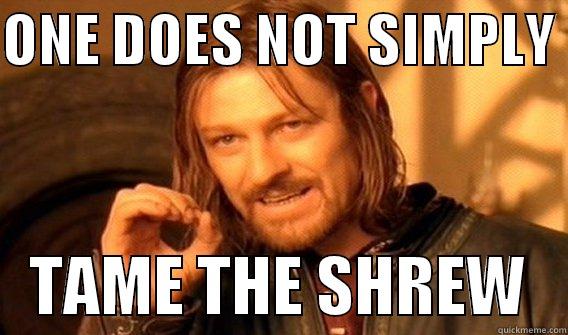 ONE DOES NOT SIMPLY     TAME THE SHREW   One Does Not Simply