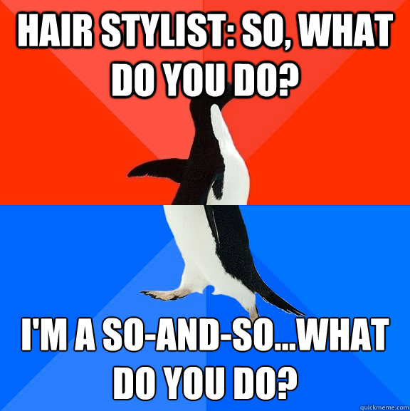 Hair Stylist: So, what do you do? I'm a so-and-so...what do you do?  Socially Awesome Awkward Penguin