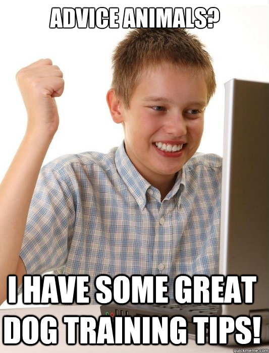 Advice Animals? I have some great dog training tips!  First Day on the Internet Kid