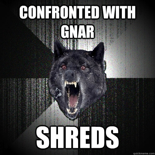 confronted with gnar shreds  Insanity Wolf