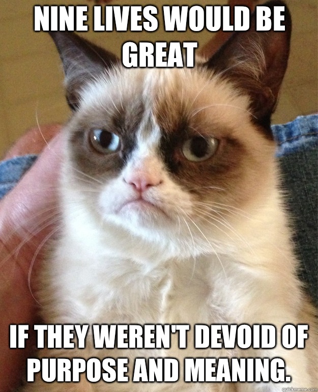 Nine lives would be great If they weren't devoid of purpose and meaning. - Nine lives would be great If they weren't devoid of purpose and meaning.  Grumpy Cat
