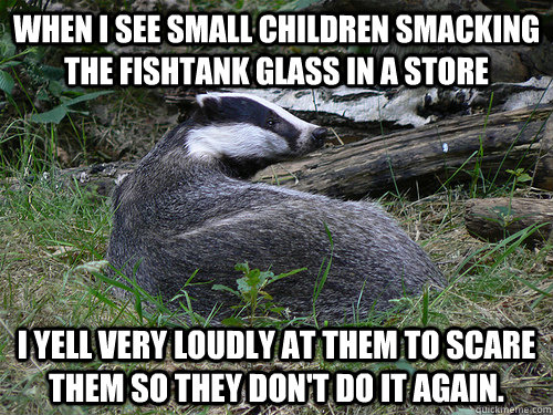 When I see small children smacking the fishtank glass in a store I yell very loudly at them to scare them so they don't do it again. - When I see small children smacking the fishtank glass in a store I yell very loudly at them to scare them so they don't do it again.  Bastard Badger