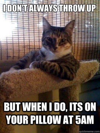 I don't always throw up but when i do, its on your pillow at 5am  The Most Interesting Cat in the World