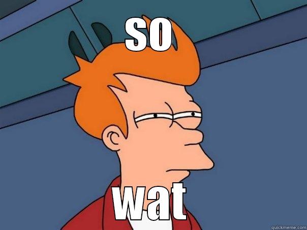 SO WAT Futurama Fry