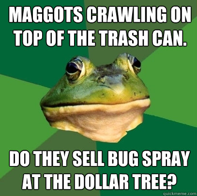 Maggots crawling on top of the trash can. Do they sell bug spray at the dollar tree? - Maggots crawling on top of the trash can. Do they sell bug spray at the dollar tree?  Foul Bachelor Frog