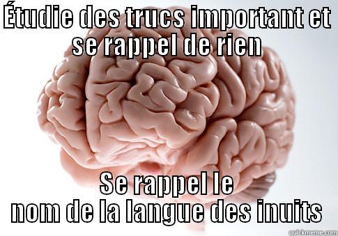 Comment je me sens live.... - ÉTUDIE DES TRUCS IMPORTANT ET SE RAPPEL DE RIEN SE RAPPEL LE NOM DE LA LANGUE DES INUITS Scumbag Brain