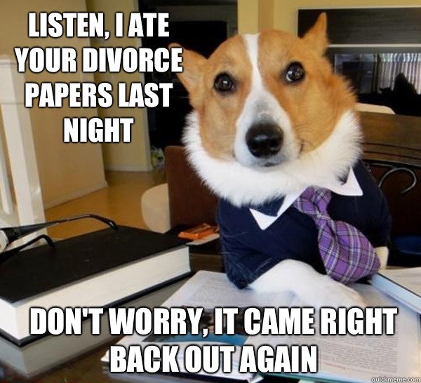 Listen, I ate your divorce papers last night Don't worry, it came right back out again - Listen, I ate your divorce papers last night Don't worry, it came right back out again  Lawyer Dog