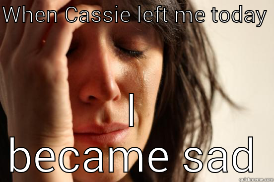 WHEN CASSIE LEFT ME TODAY  I BECAME SAD First World Problems