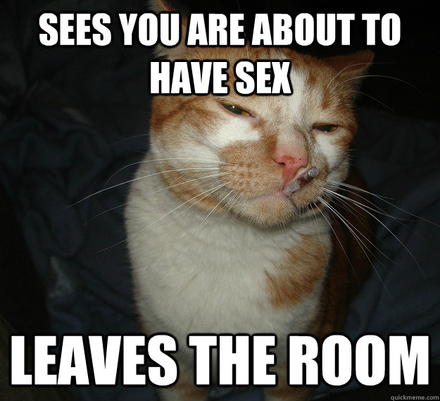 sees you are about to have sex leaves the room  Cool Cat Craig