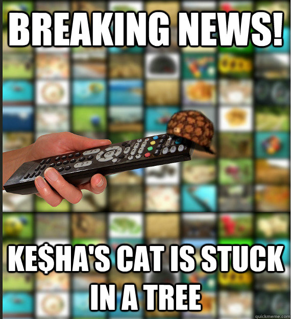 breaking news! ke$ha's cat is stuck in a tree  Scumbag Media