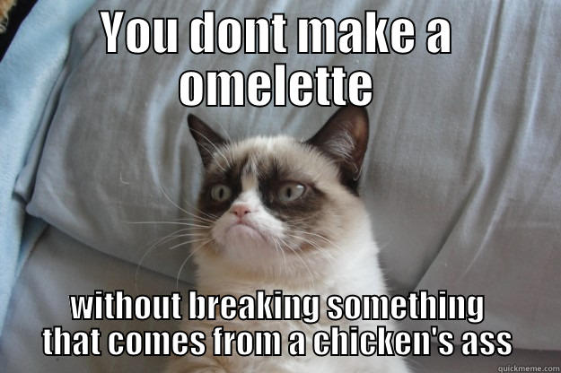 YOU DONT MAKE A OMELETTE WITHOUT BREAKING SOMETHING THAT COMES FROM A CHICKEN'S ASS Grumpy Cat