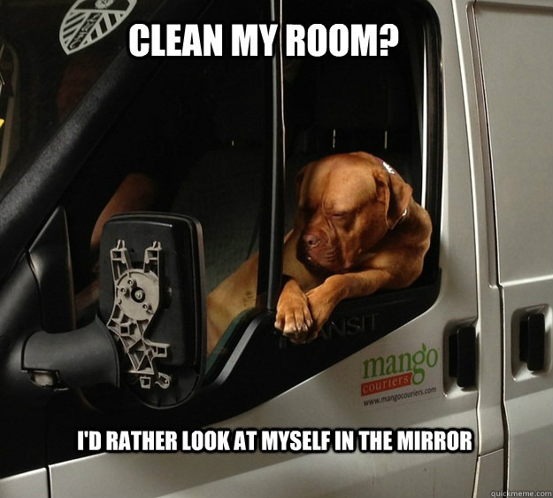 Clean my room? I'd rather look at myself in the mirror - Clean my room? I'd rather look at myself in the mirror  Cool Dog