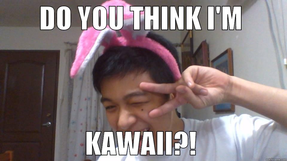 DO YOU THINK I'M KAWAII?! Misc