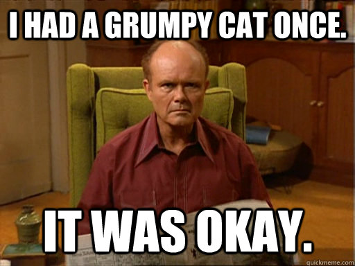 I had a grumpy cat once.  It was okay.  - I had a grumpy cat once.  It was okay.   Dumbass