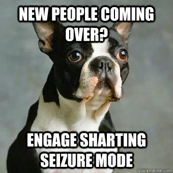 new people coming over? engage sharting seizure mode - new people coming over? engage sharting seizure mode  Stupid Dog