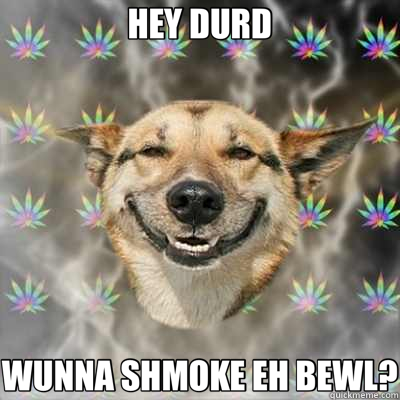 HEY DURD WUNNA SHMOKE EH BEWL?  Stoner Dog
