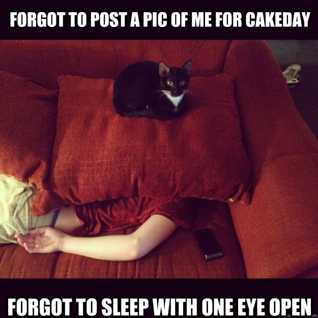 Forgot to post a pic of me for cakeday Forgot to sleep with one eye open  jealous cat