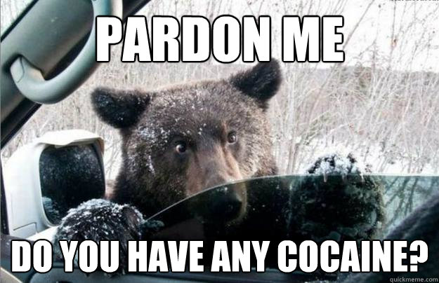 Pardon Me do you have any cocaine?  cocaine bear