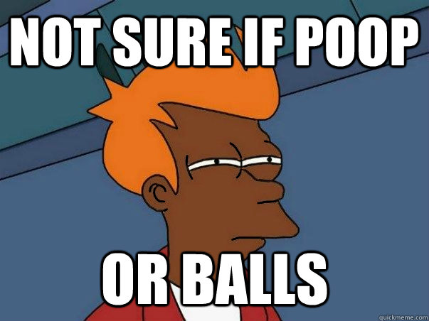 not sure if poop or balls  