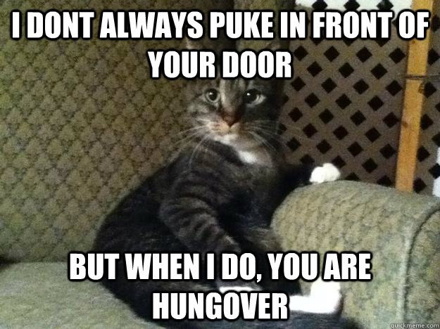 I dont always puke in front of your door but when I do, you are hungover  