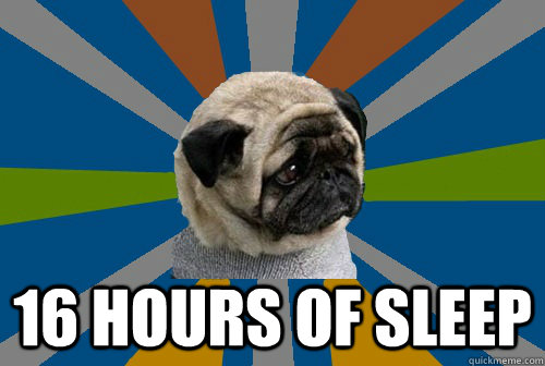  16 HOURS OF SLEEP  Clinically Depressed Pug