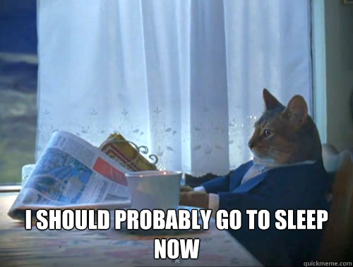  I should probably go to sleep now  The One Percent Cat