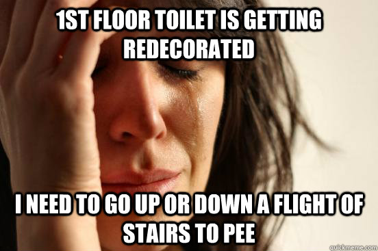 1st floor toilet is getting redecorated i need to go up or down a flight of stairs to pee  First World Problems