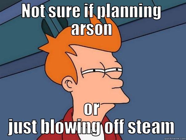 NOT SURE IF PLANNING ARSON OR JUST BLOWING OFF STEAM Futurama Fry