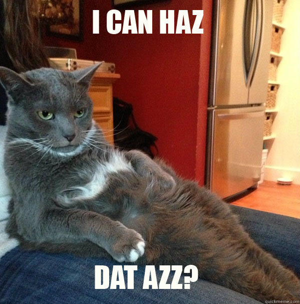   -    I can haz