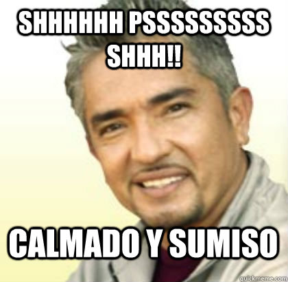 Shhhhhh Psssssssss shhh!! Calmado y sumiso - Shhhhhh Psssssssss shhh!! Calmado y sumiso  Cesar Millan