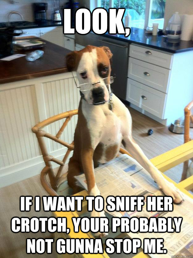 Look, If I want to sniff her crotch, your probably not gunna stop me.  The Dog Father