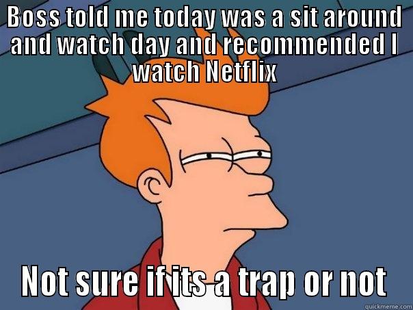 BOSS TOLD ME TODAY WAS A SIT AROUND AND WATCH DAY AND RECOMMENDED I WATCH NETFLIX NOT SURE IF ITS A TRAP OR NOT Futurama Fry