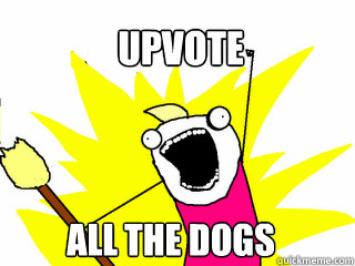 upvote all the dogs  All The Things