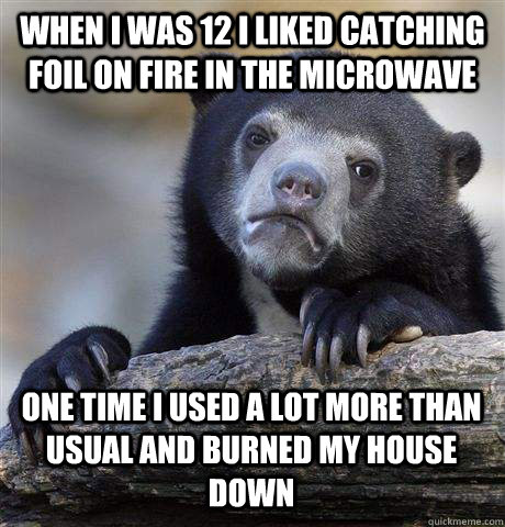 WHEN I WAS 12 I LIKED CATCHING FOIL ON FIRE IN THE MICROWAVE ONE TIME I USED A LOT MORE THAN USUAL AND BURNED MY HOUSE DOWN - WHEN I WAS 12 I LIKED CATCHING FOIL ON FIRE IN THE MICROWAVE ONE TIME I USED A LOT MORE THAN USUAL AND BURNED MY HOUSE DOWN  Misc