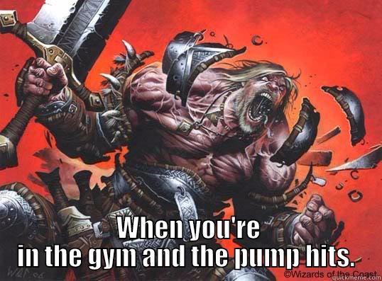  WHEN YOU'RE IN THE GYM AND THE PUMP HITS.  Misc
