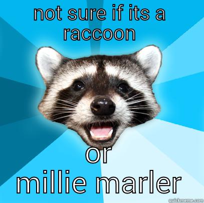 had it coming - NOT SURE IF ITS A RACCOON OR MILLIE MARLER Lame Pun Coon