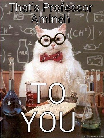 THAT'S PROFESSOR AMINEH TO YOU Chemistry Cat