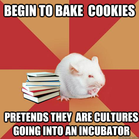 Begin to bake  cookies Pretends they  are cultures going into an incubator - Begin to bake  cookies Pretends they  are cultures going into an incubator  Science Major Mouse