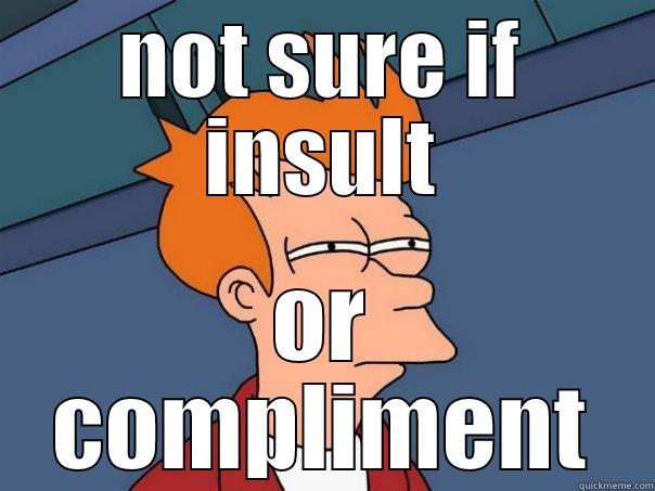 NOT SURE IF INSULT OR COMPLIMENT Futurama Fry