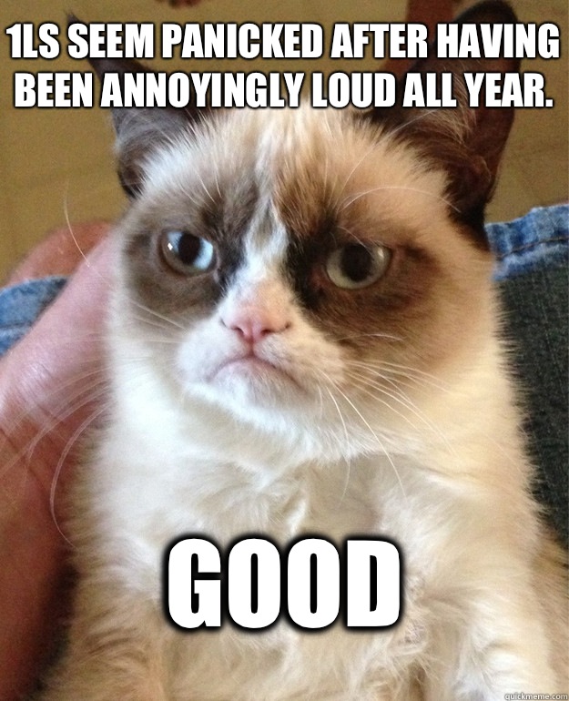 1Ls seem panicked after having been annoyingly loud all year.  Good - 1Ls seem panicked after having been annoyingly loud all year.  Good  Grumpy Cat
