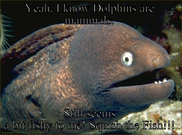 YEAH, I KNOW DOLPHINS ARE MAMMALS. STILL SEEMS A BIT FISHY TO ME! SQUISH THE FISH!!! Bad Joke Eel