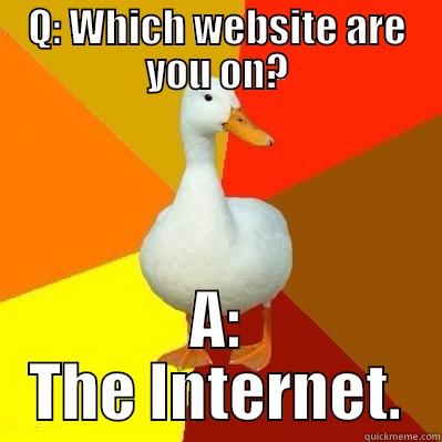Q: WHICH WEBSITE ARE YOU ON? A: THE INTERNET. Tech Impaired Duck