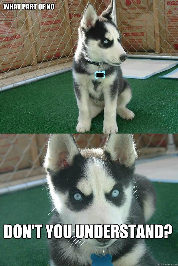 what part of no don't you understand?  Insanity puppy
