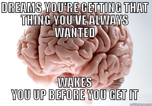 DREAMS YOU'RE GETTING THAT THING YOU'VE ALWAYS WANTED WAKES YOU UP BEFORE YOU GET IT Scumbag Brain